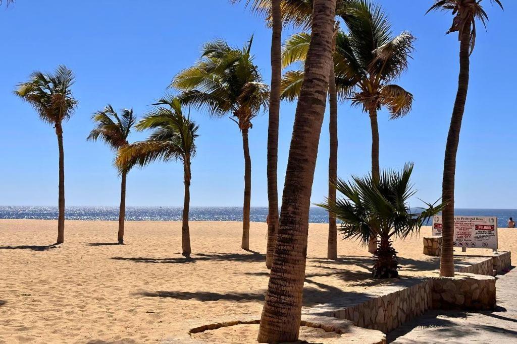 Casa Gallo, Heated Pool, Exclusive Beach & Great Location كابو سان لوكاس المظهر الخارجي الصورة